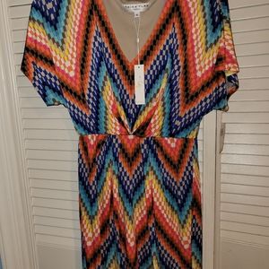 Nwt Trina Turk dress size 6